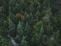 title